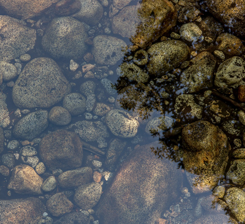 ¿El tratamiento para osteoporosis aumenta el riesgo de litiasis&nbsp;renales?