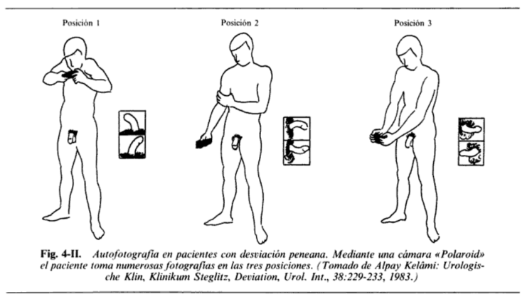 auto-fotografias-kelami
